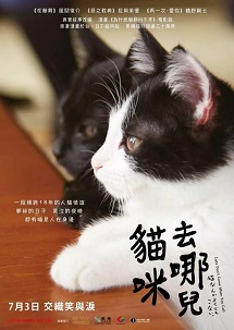 为什么猫都叫不来chinese solo陈瑞豪