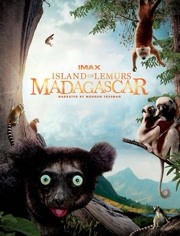 马达加斯加：狐猴之岛18岁之前