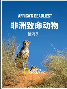 非洲致命动物 第四季肛交-无码