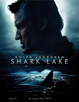 鲨鱼湖泊亚州最大色综合网站