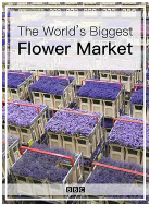 世界上最大的鲜花市场日本深夜节目