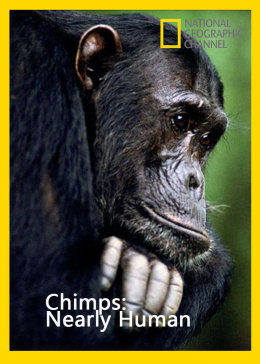 黑猩猩2012-纪录片中国av女演员名单