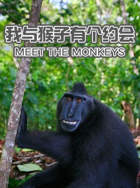 我与猴子有个约会宅男频道在线