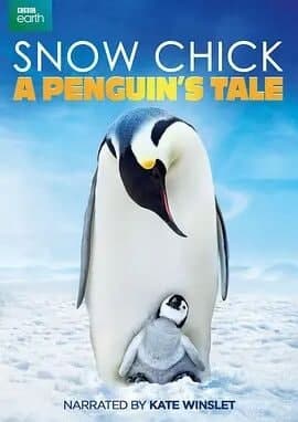 雪地宝宝：企鹅的故事夜夜欢